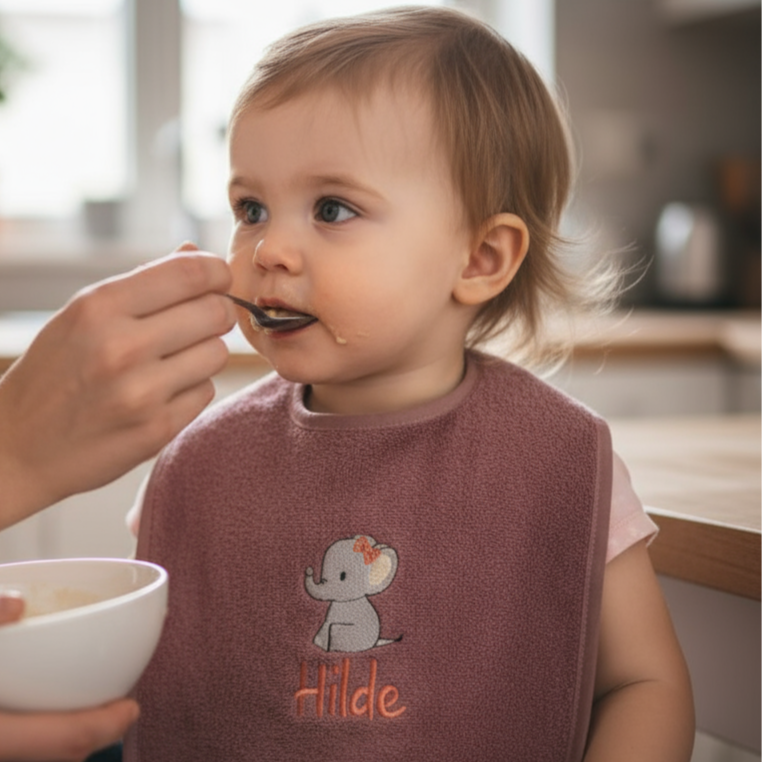 Lätzchen aus Frottee Dino im Ei und Name personalisiert
